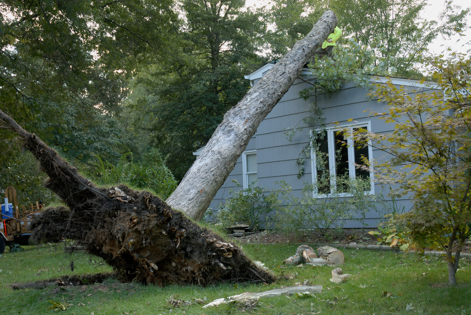 Wind Damage After Storm